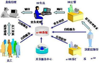 CIO視角 利用EHR優化人力資源管理，賦能企業高效運作與網絡技術服務